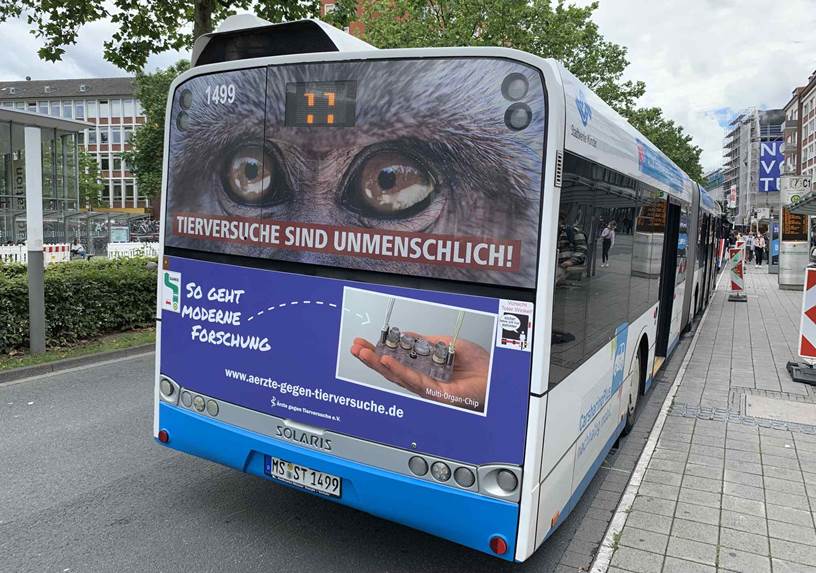 Linienbus Münster